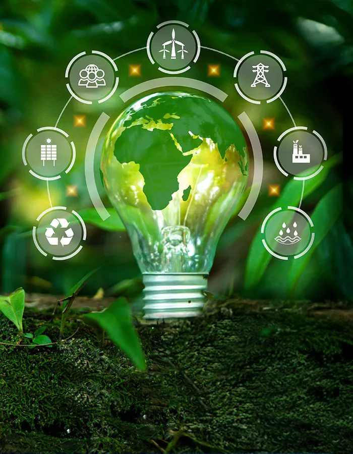 Light bulb with nature