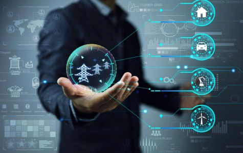 Software Customization and Development