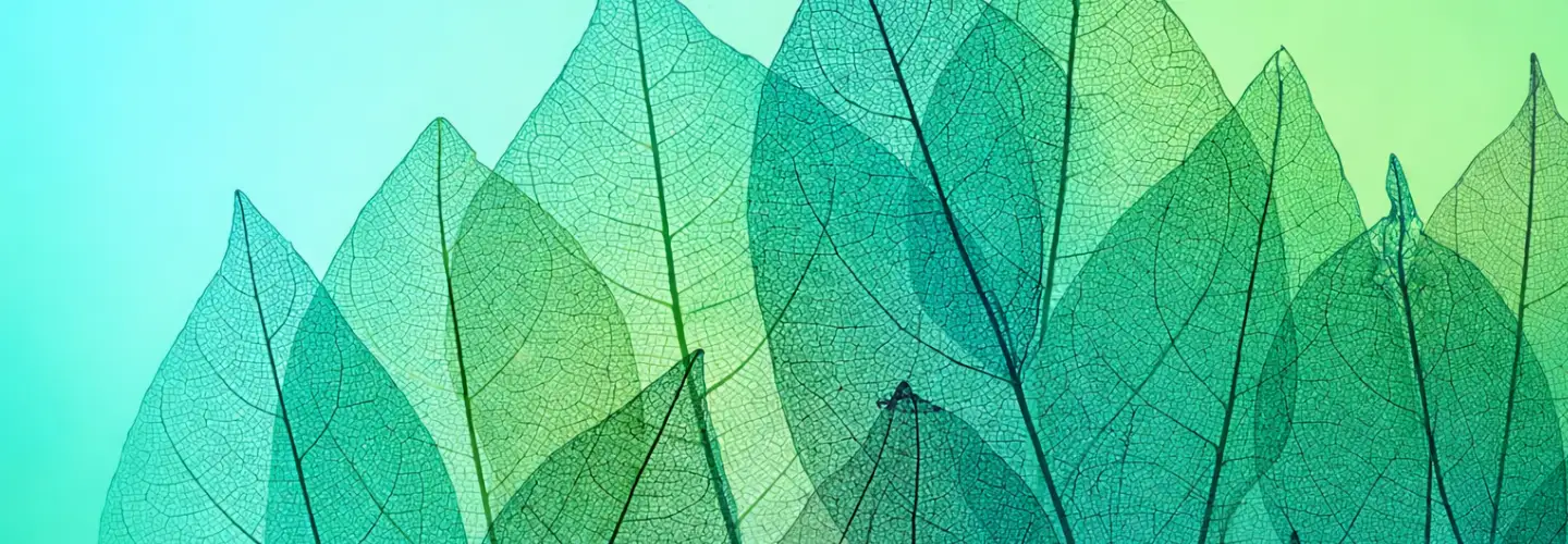 Scope 3 sustainability engineering